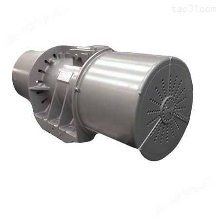 Invicta振动器HVL