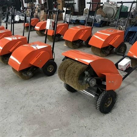 择众小型手推式电动除锈机 铁板彩钢瓦去锈 400mm轮径