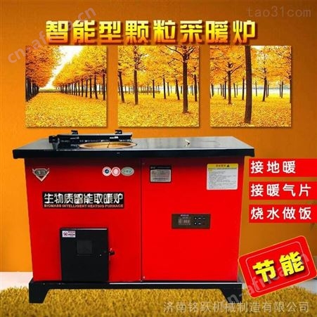 网红款木颗粒取暖炉山东厂家供应 落地壁炉生物质颗粒取暖炉接地暖暖气生物质取暖炉