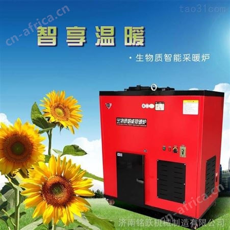山东颗粒取暖炉厂家供应 办公室商铺取暖炉 生物质颗粒壁炉 比空调电暖更省钱