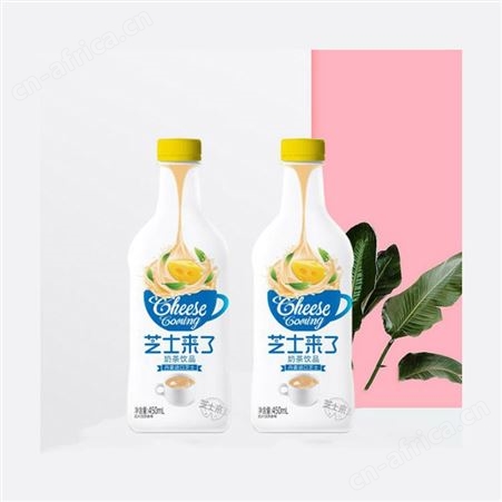 芝士来了奶茶饮品450mlX15芝士丹麦进口时尚方便饮品