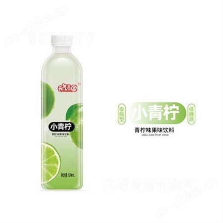 小白桃荔枝青柠味果味饮料网红果汁0脂低糖型饮料