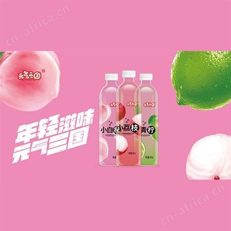 小白桃荔枝青柠味果味饮料网红果汁0脂低糖型饮料
