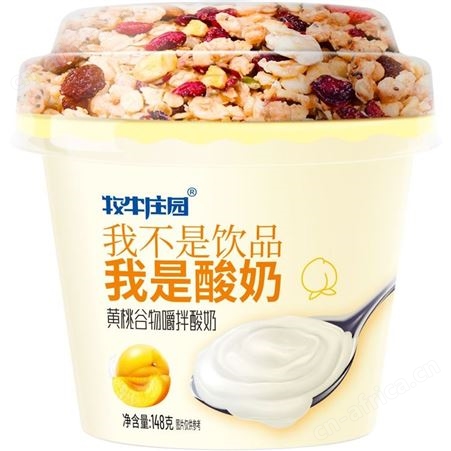 牧牛庄园黄桃谷物酸奶145mlX9整箱营养代餐饮品