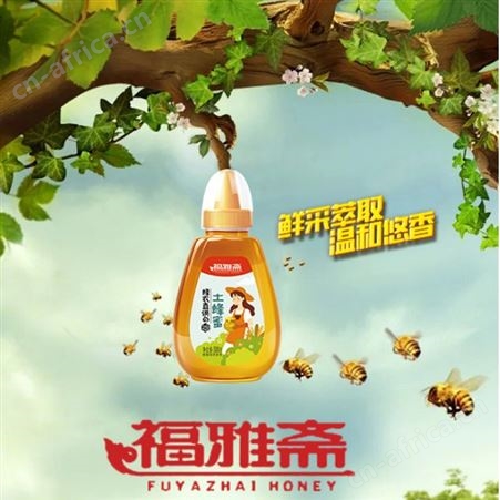 土蜂蜜时尚系列500g瓶装方便装蜂农直供冲调饮品