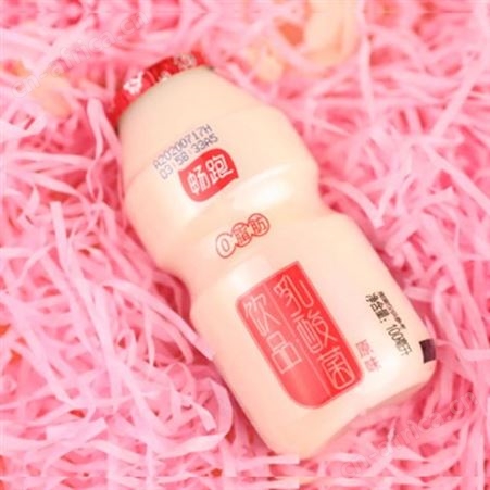0脂肪乳酸菌饮品原味瓶装小瓶促消化便装商超渠道