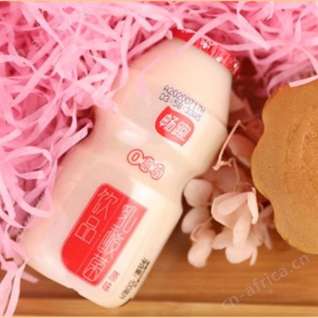 0脂肪乳酸菌饮品原味瓶装小瓶促消化便装商超渠道