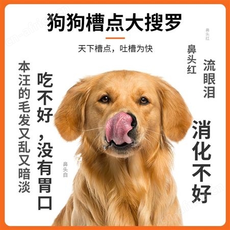 安肯经典狗粮成幼犬小中大型哈士奇金毛贵宾博美全犬种通用型10kg