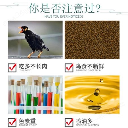 开元牌鹩哥专用鸟食营养助毛亮羽毛鸟天然谷子益生菌鸟粮500g