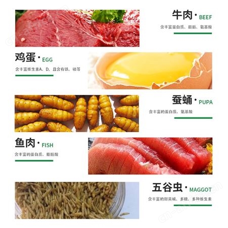 开元牌鹩哥专用鸟食营养助毛亮羽毛鸟天然谷子益生菌鸟粮500g
