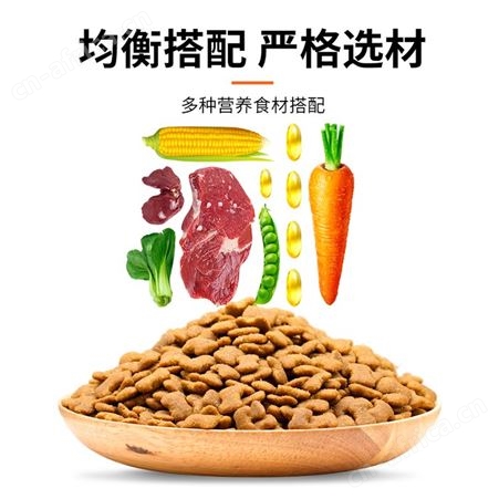 安肯经典狗粮成幼犬小中大型哈士奇金毛贵宾博美全犬种通用型10kg