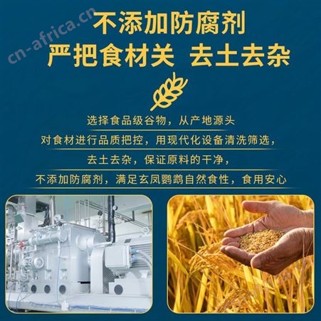 开元鹦鹉粮玄凤鹦鹉专用粮鹦鹉鸟粮谷子含滋养丸营养混合鸟食