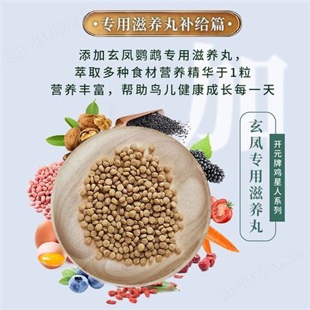 开元冻干水果坚果鹦鹉粮玄凤鹦鹉专用鸟粮谷子多维营养全价鸟食