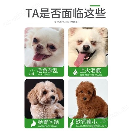 安肯蛋黄鸡肉松双拼幼犬粮10kg泰迪比熊宠物犬通用小型犬奶糕狗粮
