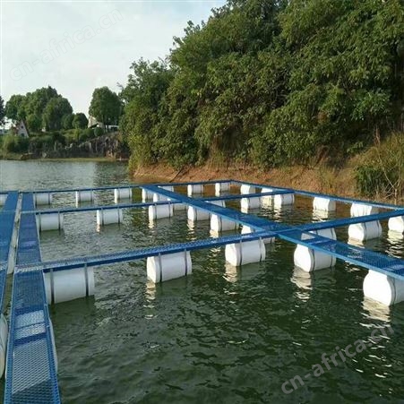 福利 批发供应鱼花网箱 生产供应网箱 加沿边防逃网箱