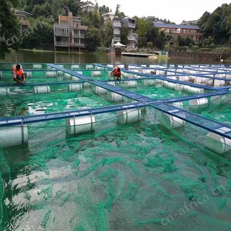 养鱼网箱批发 泥鳅黄鳝水产养殖防逃网箱 福利 大鱼养殖网箱