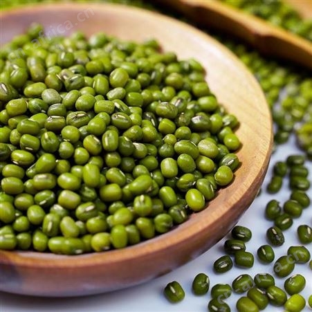 溢田东北绿豆500g绿豆芽 和粮农业 绿豆沙原料