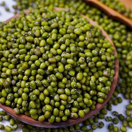 溢田东北绿豆500g绿豆芽 和粮农业 绿豆沙原料