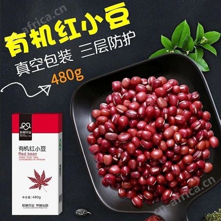 红豆批发 2021年东北有机红小豆价格 团购赤小豆 市场报价 厂家现货供应~和粮农业