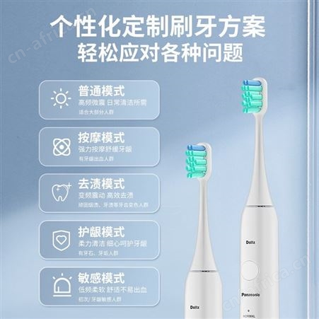 松下电动牙刷成人 声波振动 软毛洁牙 五种清洁情侣牙刷EW-DC01-P