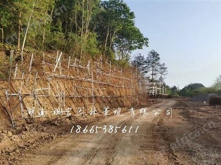 盐城仿木栏杆公司 假山栏杆公司 假树溶洞公司 仿木栏杆施工队