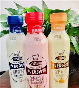 浩明芒果椰果大块朵昔发酵乳酸菌饮品招商箱装政策代理400ml