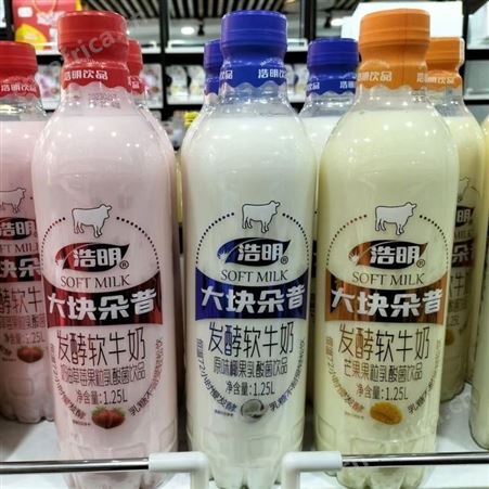 浩明芒果椰果大块朵昔发酵乳酸菌饮品招商箱装政策代理400ml