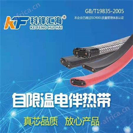 T01自限温电热带     国标电伴热厂家价格