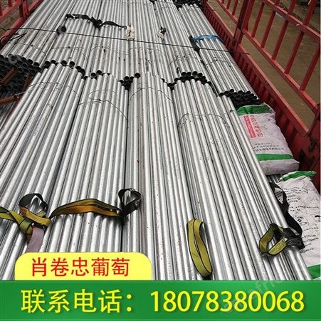 灵川钢管棚架_连栋大棚公司施工快捷