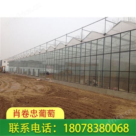 百色养牛养猪养羊大棚 强度高安装维护方便