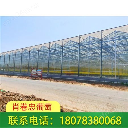 桂林花卉大棚_玻璃温室大棚工程常年承接