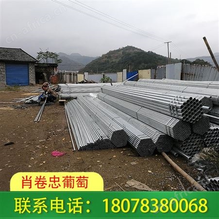广西钢管独立大棚-南宁草莓棚架工程承接