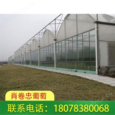 桂林花卉大棚_玻璃温室大棚工程常年承接
