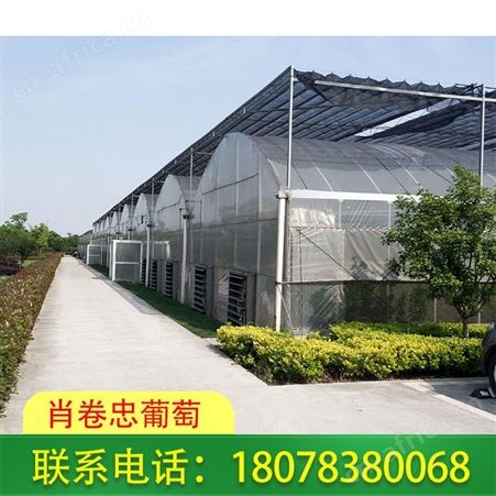 桂林花卉大棚_玻璃温室大棚工程常年承接