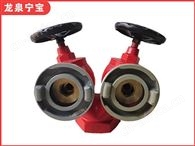 双阀双出口消火栓