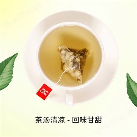 道养智盒装蜜桃乌龙茶茶香四溢批发定制独立茶包