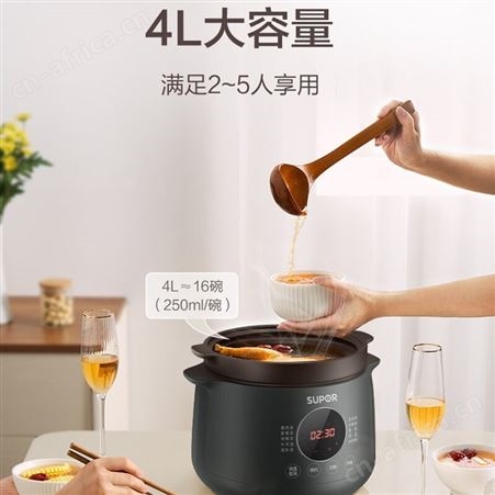 苏泊尔电炖锅4升煲汤锅炖汤煮粥锅塔吉盖紫陶内胆电炖盅 DG40YC36