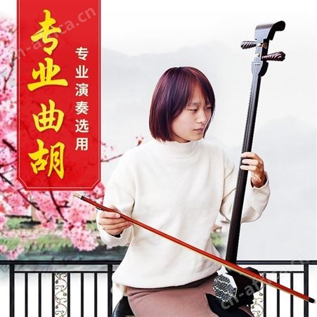 陈氏河 南曲 胡坠胡戏曲练习胡琴厂家售卖包邮枣花梨木枣木曲胡