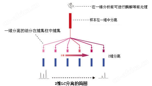 Prominence nano