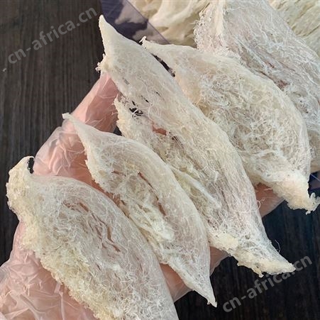 雨季马来西亚燕条干净度好孕妇传统滋补品燕窝燕盏