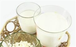 青岛奶茶原料 圣旺厂家厚乳