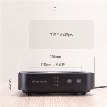 尚朋堂ST1009新品煮泡茶电茶炉迷你小便携式不挑玻璃银壶电陶茶炉