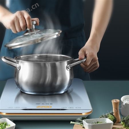 尚朋堂电磁炉家用日本进口面板大功率爆炒2021智能新款电池炉