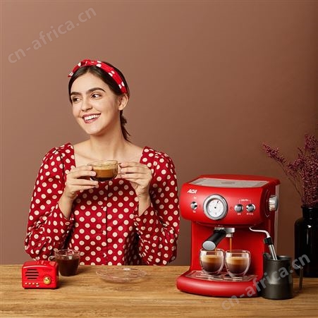 ACA/北美电器 AC-E15D意式咖啡机家用小型半自动浓缩蒸汽打奶泡