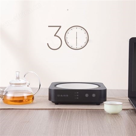 尚朋堂ST1009新品煮泡茶电茶炉迷你小便携式不挑玻璃银壶电陶茶炉