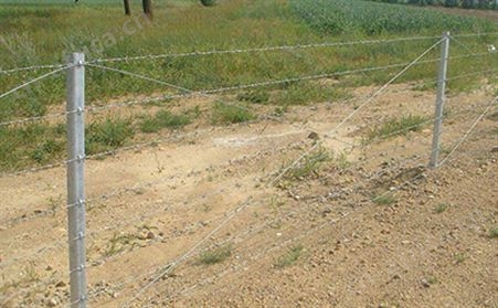 高速公路刺钢丝隔离栅
