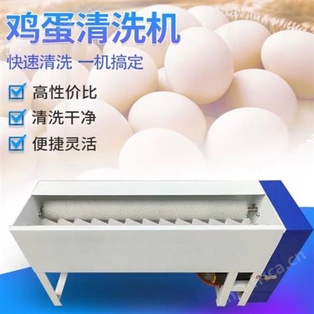 巧夺 洗蛋机 全自动蛋类清洗机器 尼龙刷辊清洗机 鸡蛋鸭蛋清洗机