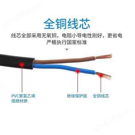 纯铜电源线两脚插头线电源延长线电器电动工具电源线 巧夺