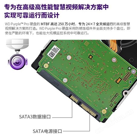 西部数据(WD) 紫盘WD121EJRP 12T SATA6Gb/s256M垂直CMR监控硬盘