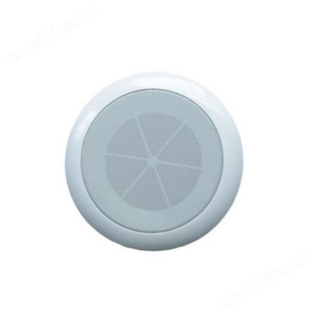 YSX-0.5/1/2/3/5W 吸顶扬声器 船用扬声器 YSX-1W YSX-2W YSX-3W